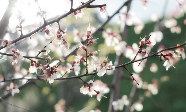 undefinedПоддержание открытого диалога</strong> является одним из наиболее действенных методов для преодоления напряженных моментов. Регулярные встречи, где участники могут свободно выражать свои мнения и опасения, способствуют созданию атмосферы доверия. Это предупреждает накапливание недовольства и минимизирует вероятность возникновения недоразумений.»></p>
<p><strong>Четкое определение ролей</strong> и ответственности на каждом этапе проекта может значительно уменьшить вероятность появления трений. Ясность в задачах предотвращает ситуации, когда кто-то чувствует себя недооцененным или перегруженным. Кроме того, это помогает сосредоточить усилия участников на общей цели, а не на межличностных разногласиях.</p>
<p><img decoding=